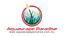 Aquascape Paradise