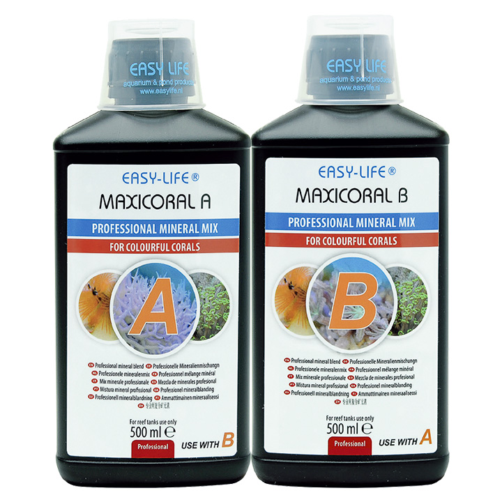 Maixicoral A&B 珊瑚礦物組