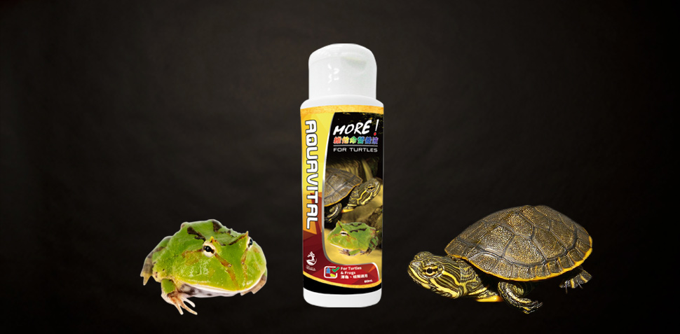 Aquavital for Turtle & Frog