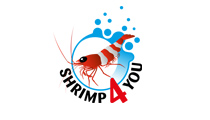 Shrimp4you